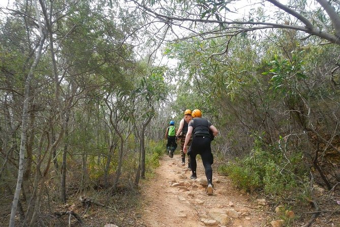 Cagliari Shore Excursion: Professional Guided Coasteering - Key Points
