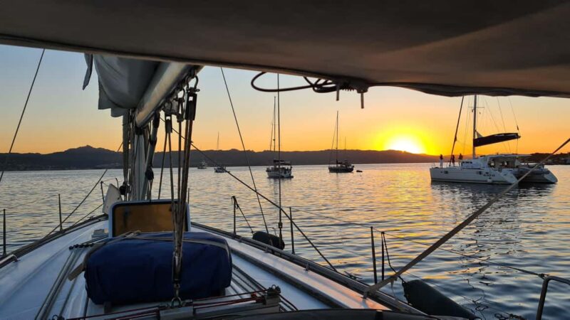 Cagliari: tour of the main attractions. - Full-Day Excursions Covering More Coastal Gems