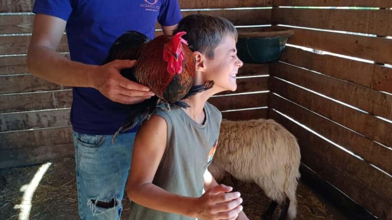 Cagliari: visit the animals of a farm - Explore Sardinia’s Farm Life with a Family-Friendly Tour Near Cagliari