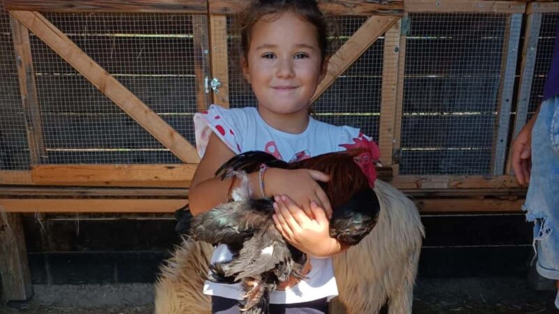 Cagliari: visit the animals of a farm - Key Points