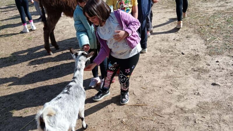 Cagliari: visit the animals of a farm - The Pony Ride: A Highlight for Kids