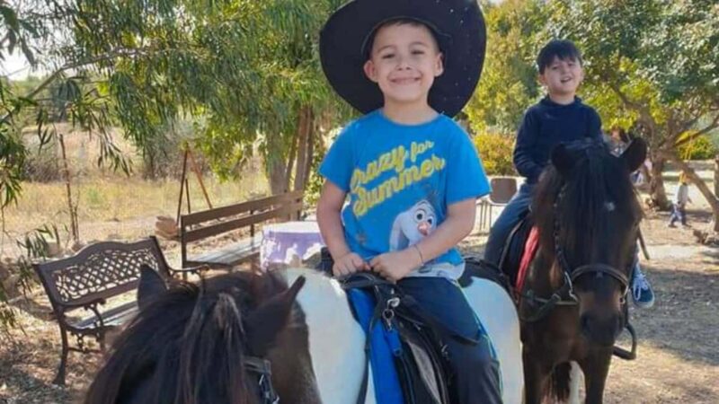 Cagliari: visit the animals of a farm - Practical Details: Meeting Point and Accessibility