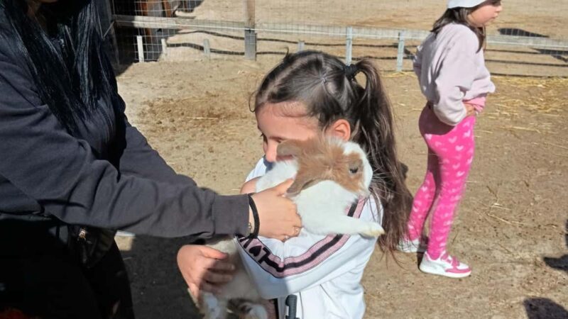 Cagliari: visit the animals of a farm - Additional Information: Cancellation and Booking Flexibility