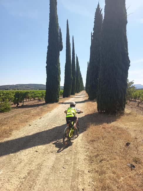 Cairanne: Renting electric bikes and family accessories - Discover Cairannes Vineyards on Electric Bikes with Family and Pet Accessories