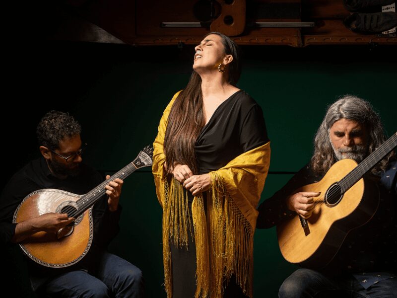 Cais de Gaia: Intimate Fado Performance Overlooking Porto - The Intimate Atmosphere of Cais do Fado