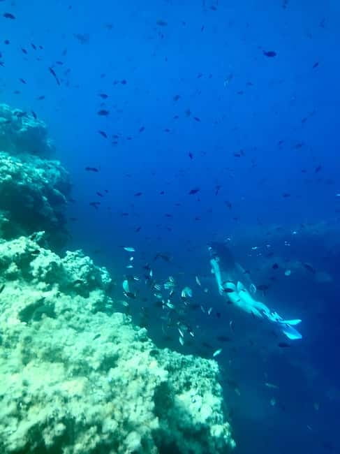 Cala Codolar: Sea & Caves Kayaking Tour with Snorkeling - Scenic Sunset and Relaxed Paddling Experience