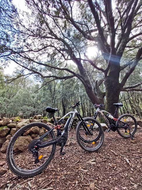 Cala Gonone and Dorgali e-bike tour - Sardinia’s Coastal Charm and Mountain Roads on E-bikes