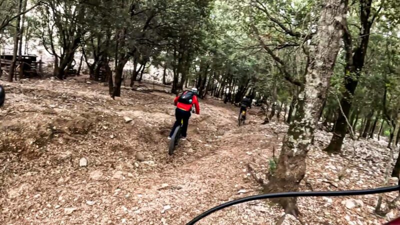Cala Gonone and Dorgali e-bike tour - How the Tour Is Adapted to Different Riders
