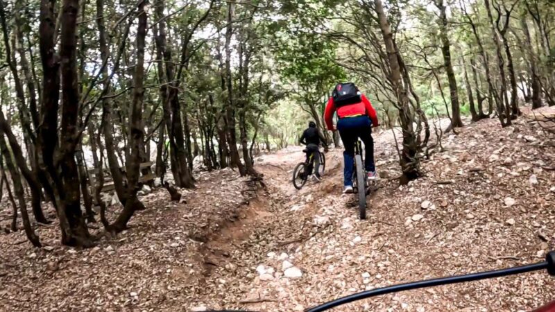 Cala Gonone and Dorgali e-bike tour - Why This Tour Stands Out in Sardinia