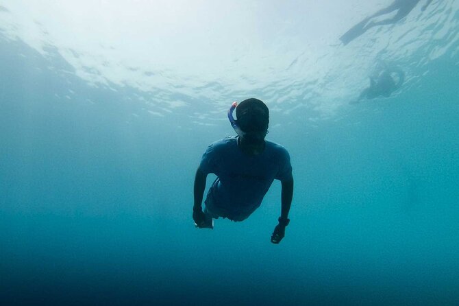 Cala Gonone Snorkeling in the Orosei Gulf - Explore Sardinia’s Beautiful Marine Life on a Snorkeling Tour in Cala Gonone