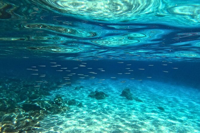 Cala Gonone Snorkeling in the Orosei Gulf - Who Should Consider This Snorkeling Experience?
