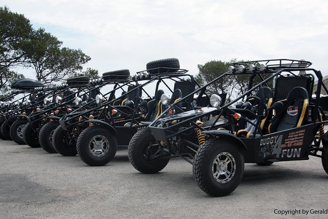 Cala Millor: Mega buggy tours also in Sa Coma - Es Forti: A Military Fortress with Bayside Views