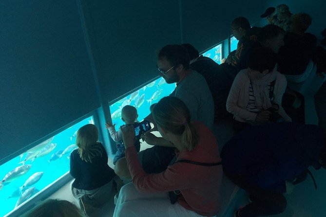 Cala Murtra: Enjoy the beauty of an underwater world - Inside the Underwater Viewing Rooms of the Aquarium II