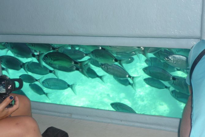 Cala Murtra: Enjoy the beauty of an underwater world - Practical Tips for Enjoying the Tour