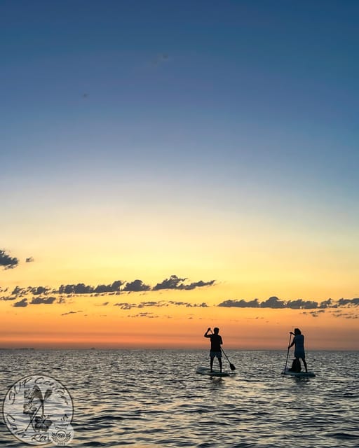 Cala Ratjada: Stand Up Paddle Sunrise Tour - Discover the Cala Ratjada: Stand Up Paddle Sunrise Tour
