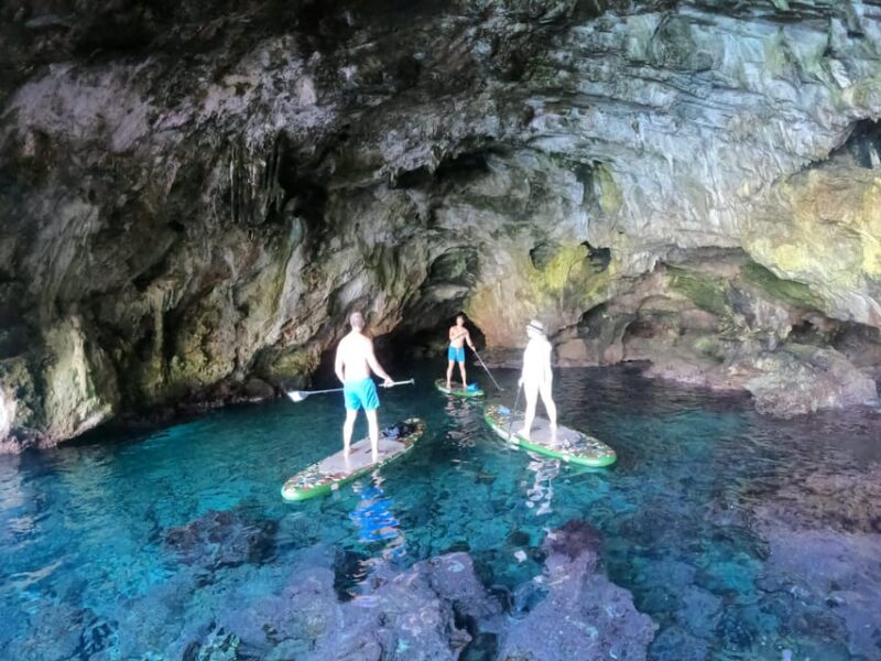 Cala Ratjada: SUP SAFARI TOUR 2H - Physical Requirements and Accessibility