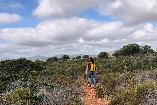 Cala Romantica Water Cave Adventure - Who Will Appreciate This Adventure the Most