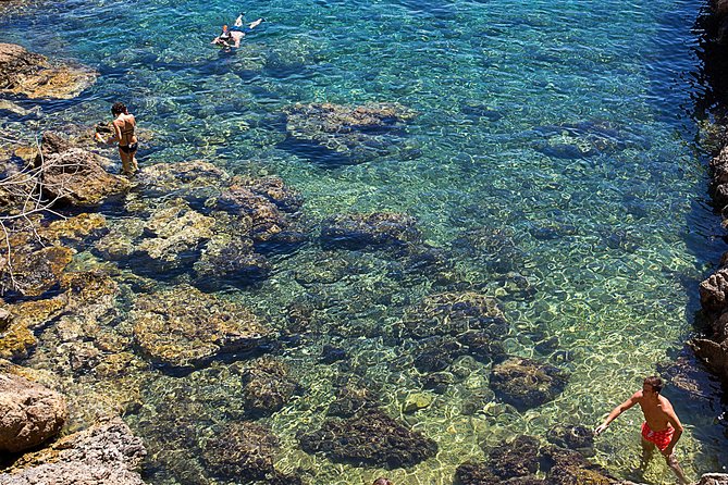 Cala Salada and Unspoiled North Beach Tour. Snorkelling and Aquarium - Ses Balandres for Snorkeling and Swimming
