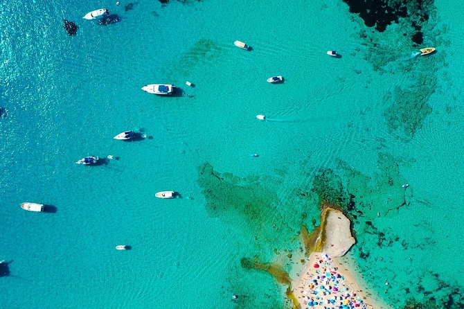 Cala Salada and Unspoiled North Beach Tour. Snorkelling and Aquarium - The Onboard Experience: Food, Drinks, and Atmosphere