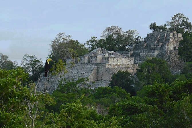 Calakmul, Ancient Maya City from Bacalar or Chetumal - Logistics: Meeting Points and Timing
