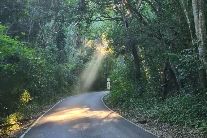 Calakmul and Bat Cave Tour from Bacalar - Key Points