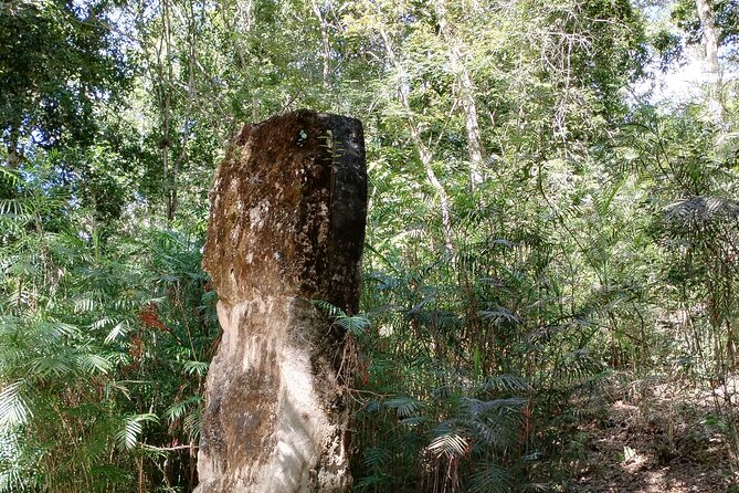 Calakmul and Bat Cave Tour from Bacalar - Weather Conditions and Flexibility