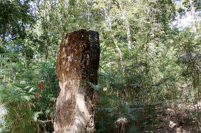 Calakmul and Bat Cave Tour from Bacalar - Logistics: Meeting Point and Timing