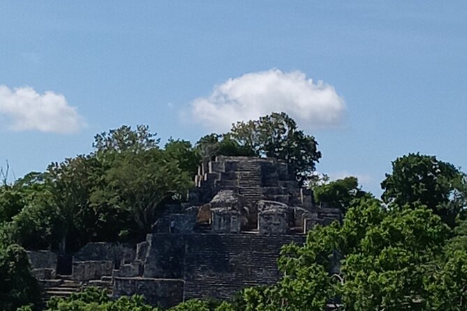 Calakmul and Bat Cave Tour from Bacalar - Why Choose the Calakmul and Bat Cave Tour?