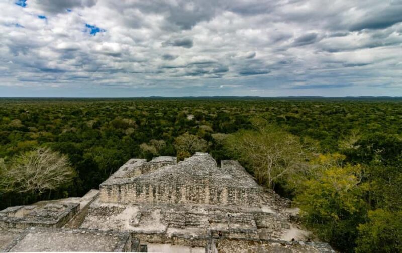 Calakmul Tour: Among Animals and Mayan History - Exploring Calakmul Municipality and Its Surroundings