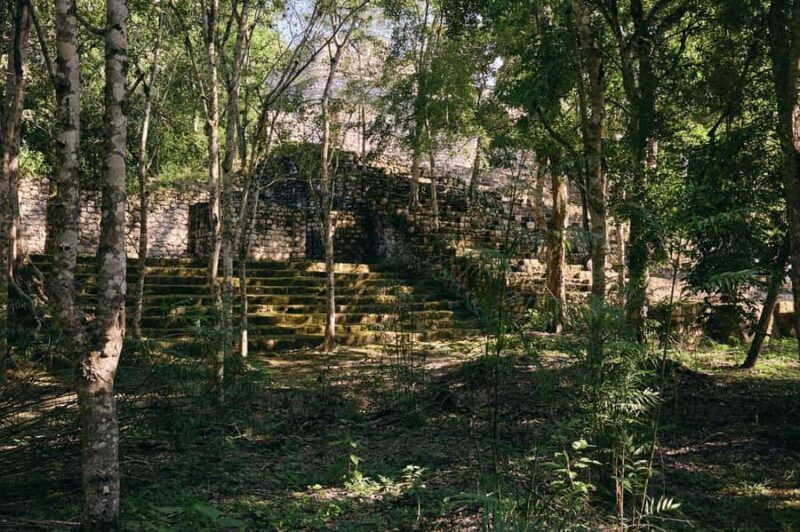 Calakmul Tour: Among Animals and Mayan History - The Guided Tour of Calakmuls Ruins