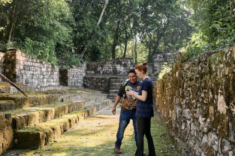 Calakmul Tour: Among Animals and Mayan History - Wildlife Encounters in the Jungle