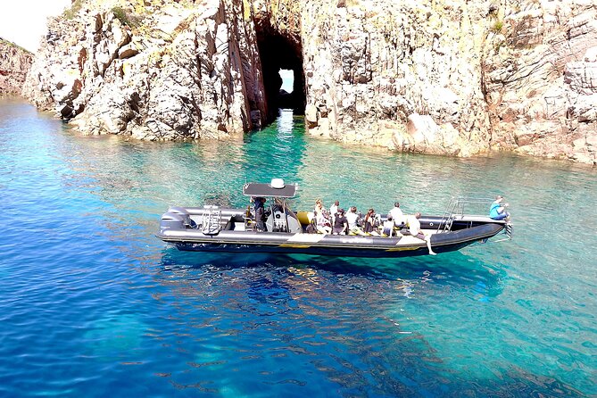 Calanches de Piana cruise from Porto - Dolphin Sightings and Marine Life Encounters