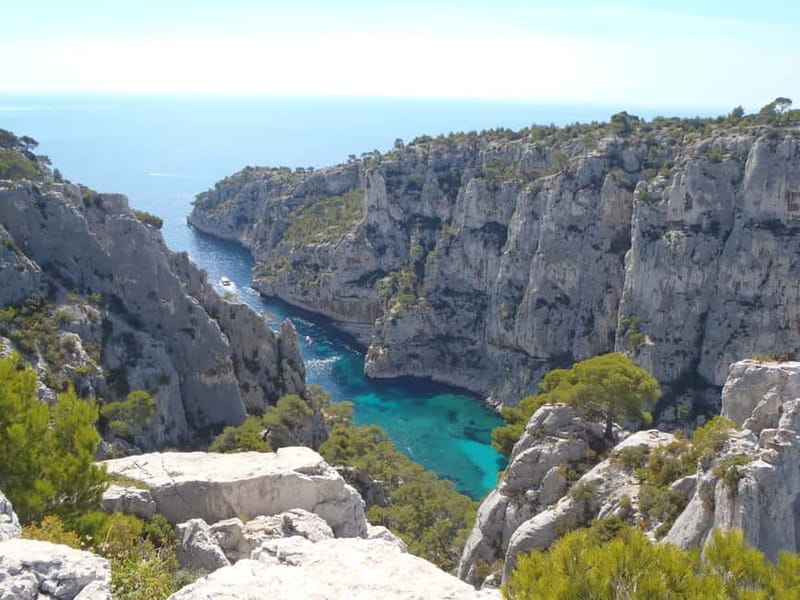 Calanques de Cassis: Hiking Day Trip - Flora, Fauna, and the Environment
