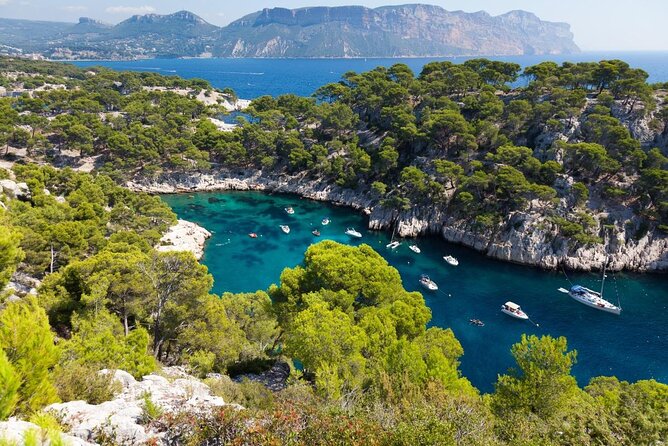 Calanques National Park Kayak Day Tour - Discover Stunning Coastal Views on a Full-Day Kayak Tour in La Ciotat