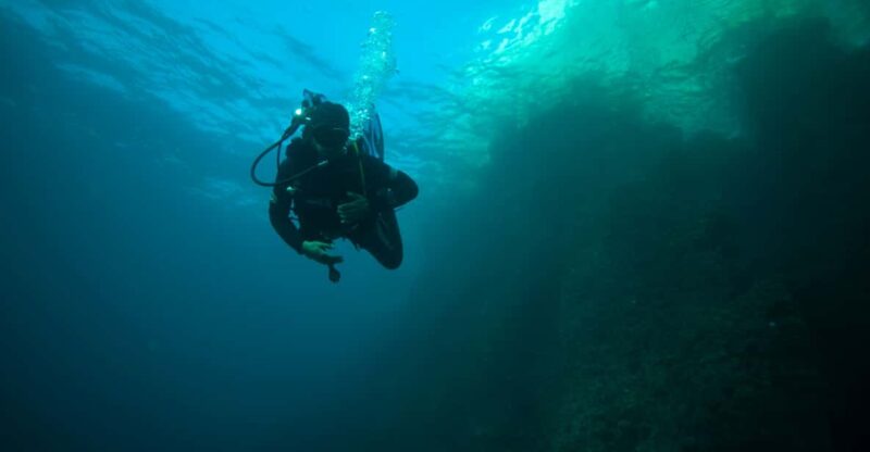 Calanques National Park Snorkel and Scuba Dive - Discover the Marine Wonders of Calanques National Park for $256