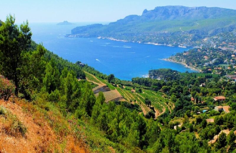 Calanques of Cassis, Aix-en-Provence & Wine Tasting Day Tour - Discover the Calanques, Aix-en-Provence, and French Wine on a 10-Hour Private Day Tour