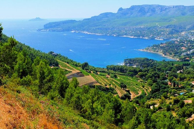 Calanques of Cassis, Aix-en-Provence & Wine Tasting Private Tour - Key Points