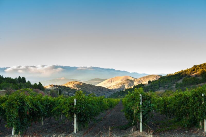 Calaveras/Tuolumne Digital Wine Tasting Passport - Wineries Included in the Digital Tasting Pass