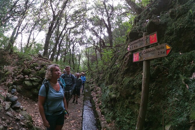 Caldeirão Verde Levada (PR 9) - Guided Madeira Levada Walk - Starting the Adventure at Parque Queimadas