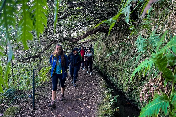 Caldeirão Verde Levada (PR 9) - Guided Madeira Levada Walk - Practical Tips for the Levada Walk