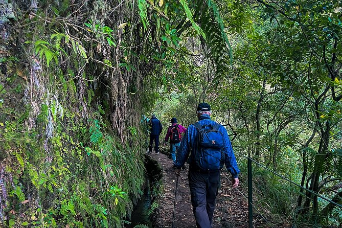 Caldeirão Verde Levada (PR 9) - Guided Madeira Levada Walk - Guides, Pacing, and Visitor Experience