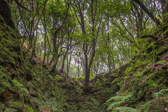 Caldeirão Verde Levadas Walk in Madeira - Walking Along the Levada Do Caldeirão Verde