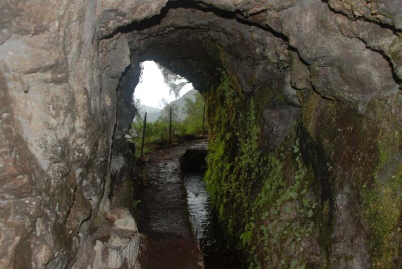 Caldeirão Verde: Queimadas PR9 Transfer Hike - Experience the Magic of Madeira’s Laurissilva Forest on the Caldeirão Verde Hike