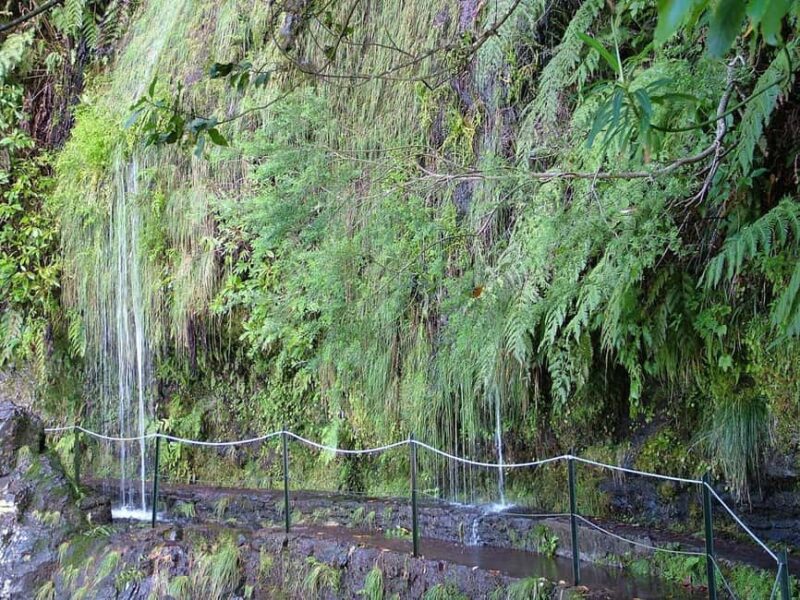 Caldeirão Verde: Queimadas PR9 Transfer Hike - Physical Requirements and Considerations