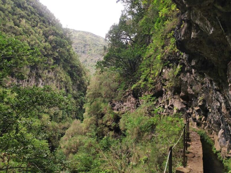 Caldeirão Verde: Queimadas PR9 Transfer Hike - Weather and Safety Tips