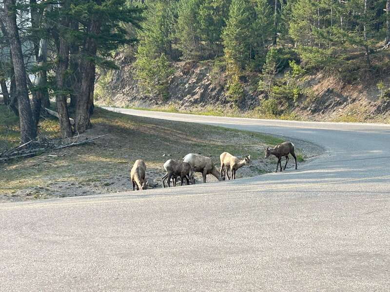 Calgary/Banff: Full-Day Private Banff National Park Tour - Professional Photography to Capture Your Memories