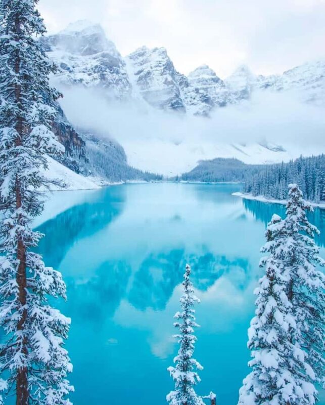 Calgary, Banff: Lake louise , Moraine ,Emerald Lake day Tour - Explore the Canadian Rockies with a Full-Day Lake Tour for $59