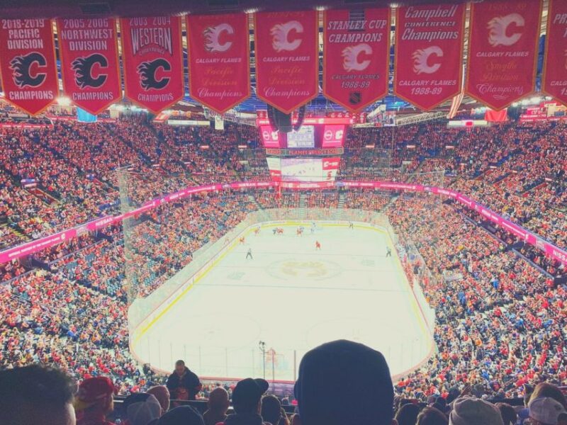 Calgary: Calgary Flames Ice Hockey Game Ticket - How the Digital Ticket Works