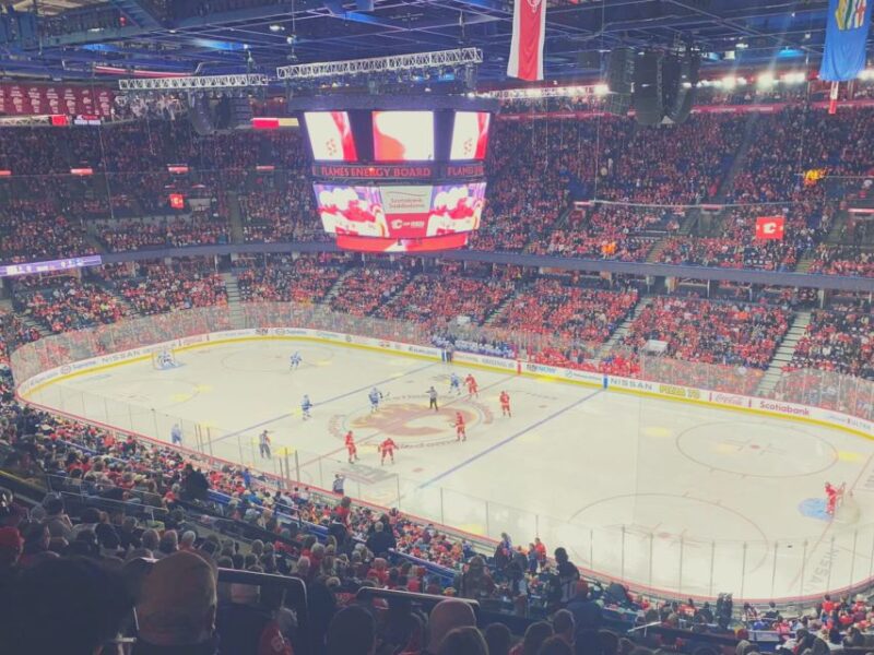 Calgary: Calgary Flames Ice Hockey Game Ticket - Who Will Enjoy This Experience Most