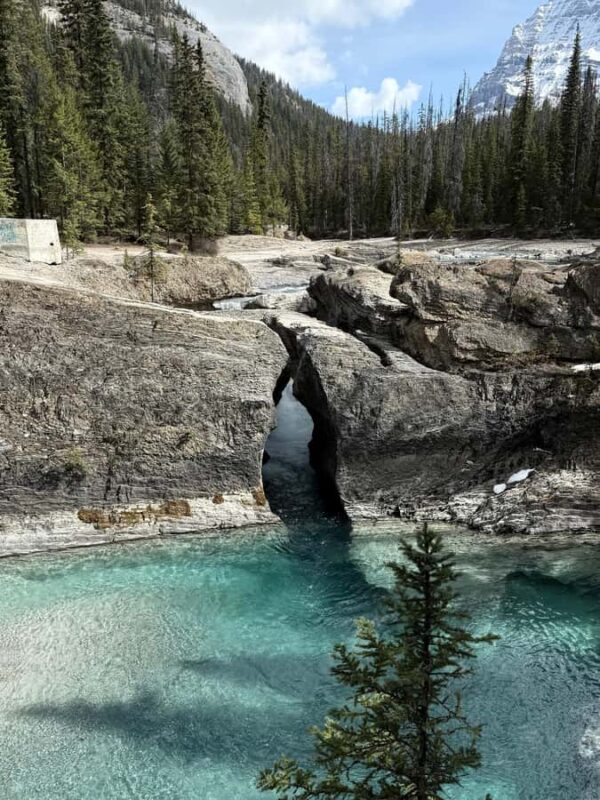 Calgary/Canmore/Banff Lake Louise Emerald Lake Marble Canyon - Why Choose This Tour in the Canadian Rockies?
